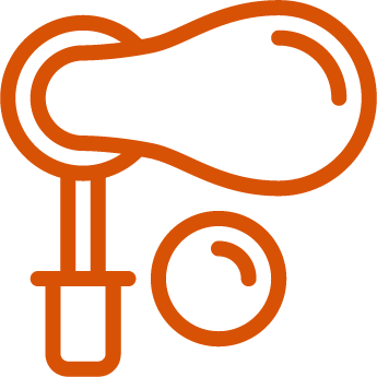 Fonoaudiologia